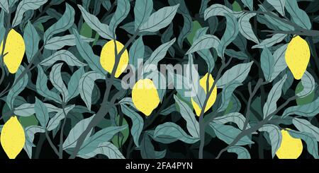 Horizontal background with tree branch, Lemon and leaves in hand drawn style on dark background. Tree branch with citrus fruits and leaves banner in f Stock Vector