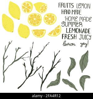Set of tropical citrus fruits in hand drawn style. Lemon, leaf, brunch and hand written words collection in flat design. Summer design elements in car Stock Vector