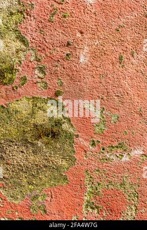 Destroyed painted cement plastered wall. Weathered corrosive surface. Abstract background. Red and yellow. Vertical view Stock Photo