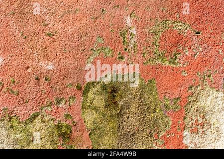 Mottled textured painted peeling cement old wall with stains of peeled paint. Abstract vintage background Stock Photo