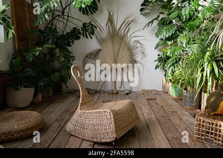 Indoor garden, stylish living room with wicker furniture, houseplants in baskets and old floor Stock Photo