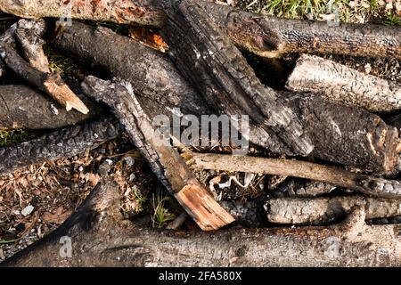 burnt wood at a campfire Stock Photo