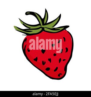 Hand drawn stawberry illustration isolated on white background. Stock Vector