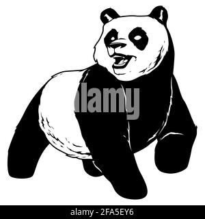 Panda on White Stock Vector