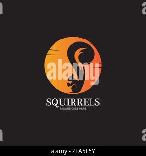 creative squirrel animal logo design icon symbol illustration-vector Stock Vector