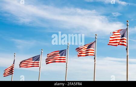 A group of American flags waving on a sunny day. Concept of patriotism and democracy Stock Photo