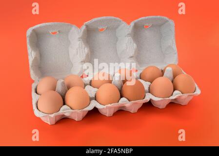 Egg box with chicken eggs, a dozen eggs  in cardboard egg tray made from recycled paper isolated on orange background Stock Photo