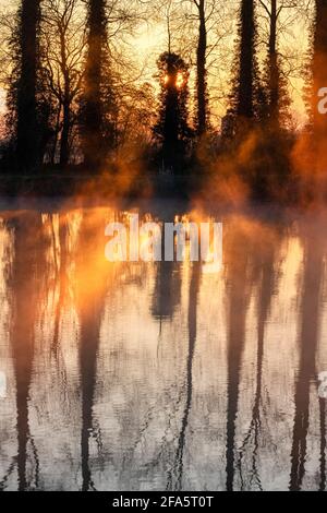 Misty sunrise ripples with trees reflecting in the river thames. Buscot, Cotswolds, Oxfordshire, England Stock Photo