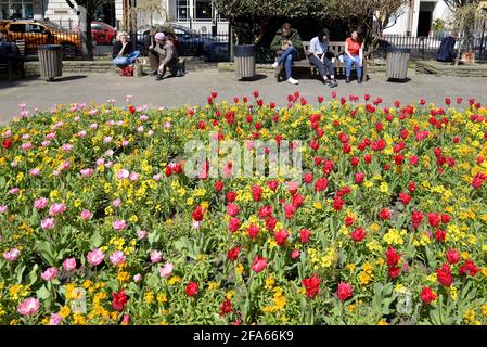 London, England, UK. Golden Square, Soho. People sitting on benches eating lunch in front of spring flowers Stock Photo