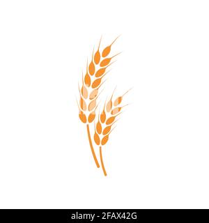 Ears of wheat. Logo. Vector illustration on white isolated background. Stock Vector