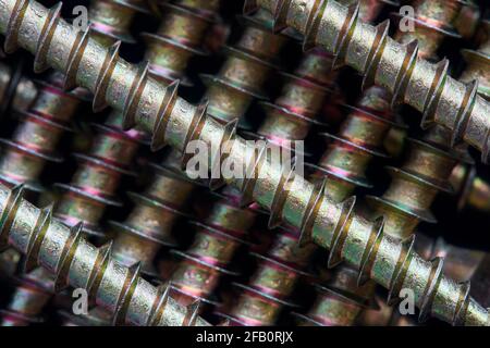 Selective focus golden steel brass tapping screws galvanized with tint lined ornamental macro background pattern lying diagonal, diag, oblique, tilt Stock Photo