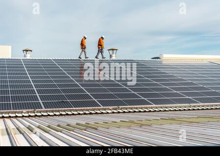 Unrecognizable solar panel technicians walking on a Spanish factoryi Stock Photo