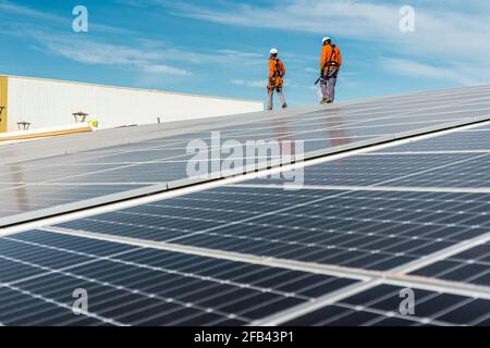 Installation with multiple solar panels with technicians walking backw Stock Photo