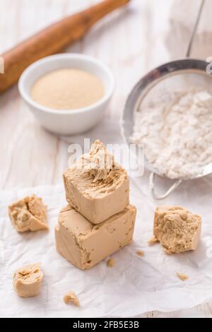 Fresh and dried yeast with baking ingredients on white background Stock Photo