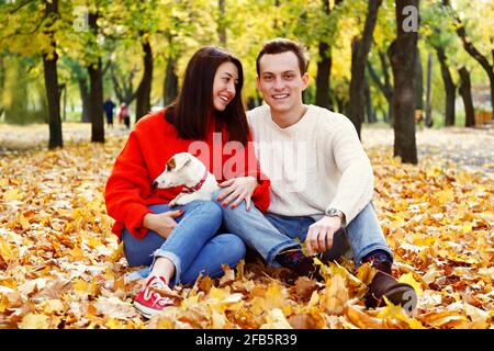 Attractive young couple sitting on pile of fallen leaves in november with their Jack Russell Terrier puppy, yellow leaves on the ground. Background, c Stock Photo