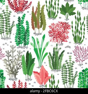 Seaweed seamless pattern. Sea weed fur vector background for marine fashion. Colored seaweed undersea, nature wildlife flora illustration Stock Vector