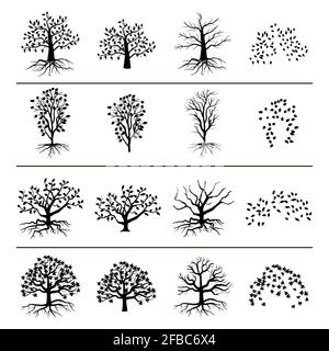 Vector trees with roots, foliage and fallen leaves isolated on white background. Silhouette of tree, and leaf monochrome illustration Stock Vector