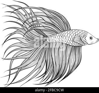 Siamese fighter fish side view line art Stock Vector