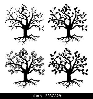 Park old trees. Vector tree silhouettes with roots and leaves. Monochrome tree flora of collection illustration Stock Vector
