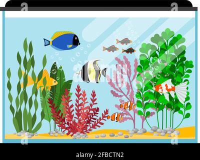 Cartoon fishes in aquarium. Saltwater or freshwater fish tank vector illustration. Water animal goldfish, sea tropical color fish Stock Vector