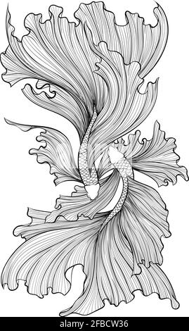 Hand drawn sketch of siamese betta fish Vector illustration Stock ...