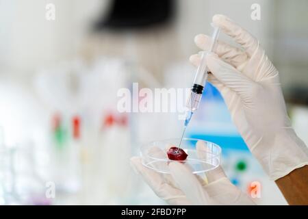 Researcher injecting liquid on meat while doing test in laboratory Stock Photo
