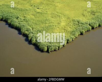 Aerial view over marshes near Elliot Island, Maryland, USA Stock Photo