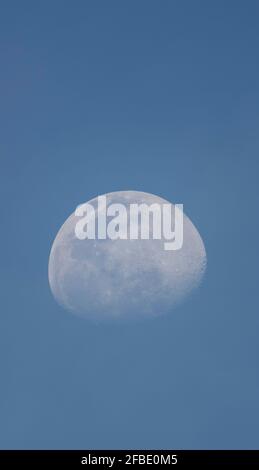 London, UK. 23 April 2021. An 82% waxing gibbous Moon is captured through an astronomical telescope in hazy blue sky mid-evening over London. Credit: Malcolm Park/Alamy live News. Stock Photo