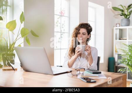 Beautiful female freelance worker having coffee while looking at laptop in home office Stock Photo