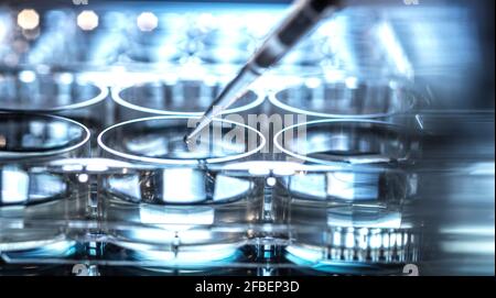 Pipetting sample into micro well plate while doing research on biotechnology Stock Photo