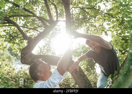 Cheerful son climbing tree while giving high-five to father during sunny day Stock Photo