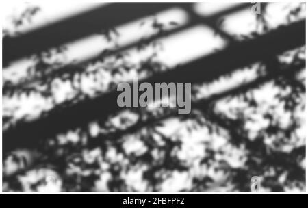 Realistic vector illustration of soft shadows overlay from trees and architectural elements Stock Vector
