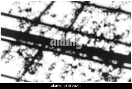 Realistic vector illustration of soft shadows overlay from trees and architectural elements Stock Vector