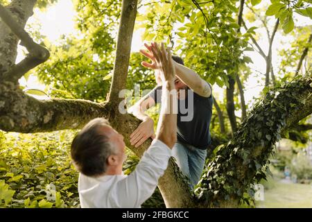 Father doing high-five to cheerful son climbing tree in back yard Stock Photo