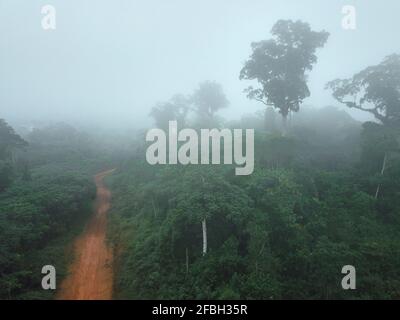 Aerial view of a dirt road cutting through lush green agricultural ...