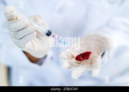 Researcher injecting meat in petri dish while doing experiment at laboratory Stock Photo