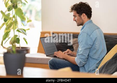 Concentrated male freelance worker sitting on couch with laptop at home Stock Photo