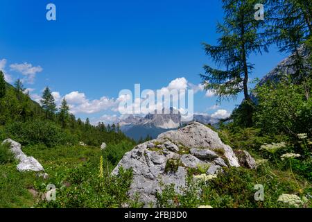 Italy, Dolomites, Veneto, Tre Cime di Lavaredo and Cadini di Misurina seen from Lake Sorapis in summer Stock Photo