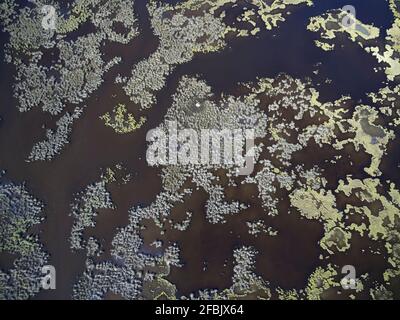 Aerial view over marshes near Elliot Island, Maryland, USA Stock Photo