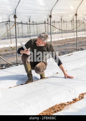 Male farmer using digital tablet while planting in greenhouse Stock Photo