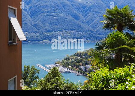 Switzerland, Ticino, Locarno, View of Lake Maggiore and Locarno boat harbour from Orselina Stock Photo