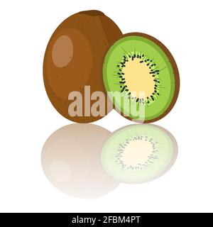 Kiwi fruit whole and sliced vector illustration exotic fruit for health diet and vitamin C source Stock Vector