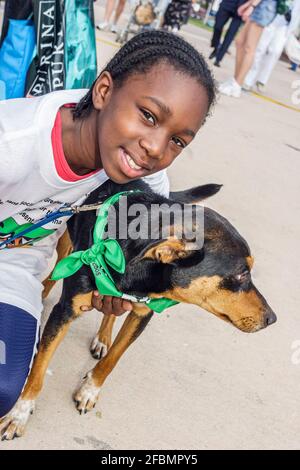 Miami Florida, Parque Bayfront, Paseo por los Animales, evento de la  Sociedad Humana, perros perros, mascotas, caninos, animales, ojos pequeños,  grandes, visitantes de viaje Fotografía de stock - Alamy