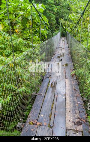 Suspension bridge at the hiking trail Sendero Los Quetzales in National Park Volcan Baru during rainy season, Panama. Stock Photo