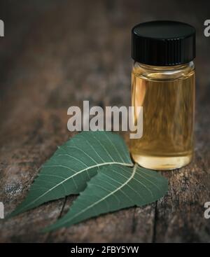 Bottle of citrus essential oil, fresh lime and leaf on green background ...