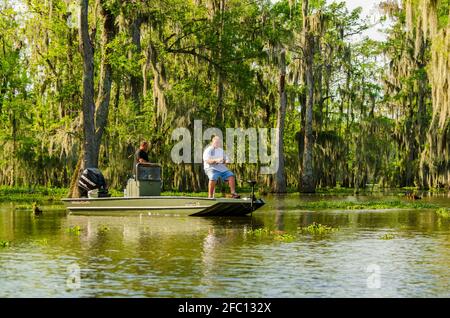 Two Caucasian men fishing in a bass boat in the Atchafalaya basin swamp in Louisiana, USA. Stock Photo