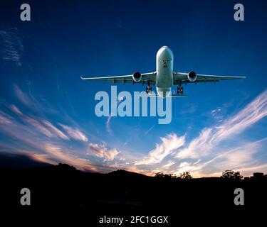 A passenger jet airliner flying overhead closeup in a cobalt blue sky over wispy white cirrus clouds just on sunset.  Atmospheric beauty in nature. Sy Stock Photo