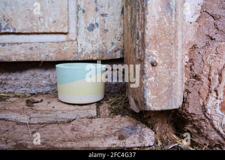 Selective focus on colorful plaster pot for cactuses in front of an old, rustic, wooden door of a house made from mud and some hay on the ground Stock Photo