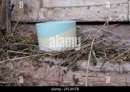 Selective focus on colorful plaster pot for cactuses in front of an old, rustic, wooden door of a house made from mud and some hay on the ground Stock Photo