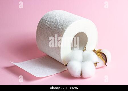 White toilet paper roll with dry cotton flowers on light pink background. Stock Photo